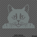 Peeking Cat Kitten Vinyl Decal