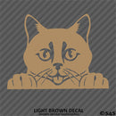 Peeking Cat Kitten Vinyl Decal