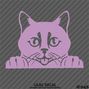 Peeking Cat Kitten Vinyl Decal