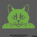 Peeking Cat Kitten Vinyl Decal