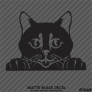 Peeking Cat Kitten Vinyl Decal