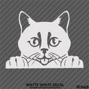 Peeking Cat Kitten Vinyl Decal