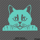 Peeking Cat Kitten Vinyl Decal