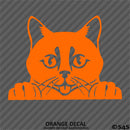 Peeking Cat Kitten Vinyl Decal