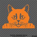 Peeking Cat Kitten Vinyl Decal