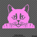 Peeking Cat Kitten Vinyl Decal