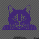 Peeking Cat Kitten Vinyl Decal