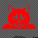 Peeking Cat Kitten Vinyl Decal