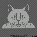 Peeking Cat Kitten Vinyl Decal