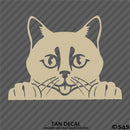 Peeking Cat Kitten Vinyl Decal