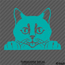 Peeking Cat Kitten Vinyl Decal