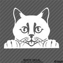 Peeking Cat Kitten Vinyl Decal