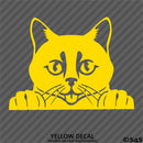Peeking Cat Kitten Vinyl Decal