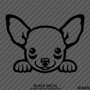 Peeking Chihuahua Puppy Dog Vinyl Decal - S4S Designs