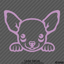 Peeking Chihuahua Puppy Dog Vinyl Decal - S4S Designs