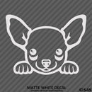 Peeking Chihuahua Puppy Dog Vinyl Decal - S4S Designs