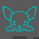 Peeking Chihuahua Puppy Dog Vinyl Decal - S4S Designs