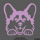 Peeking Corgi Puppy Dog Vinyl Decal - S4S Designs