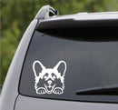 Peeking Corgi Puppy Dog Vinyl Decal - S4S Designs