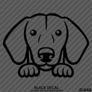 Peeking Dachshund Puppy Dog Vinyl Decal - S4S Designs