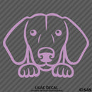 Peeking Dachshund Puppy Dog Vinyl Decal - S4S Designs