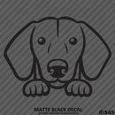 Peeking Dachshund Puppy Dog Vinyl Decal - S4S Designs