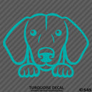 Peeking Dachshund Puppy Dog Vinyl Decal - S4S Designs