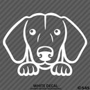Peeking Dachshund Puppy Dog Vinyl Decal - S4S Designs