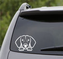 Peeking Dachshund Puppy Dog Vinyl Decal - S4S Designs