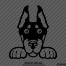 Peeking Doberman Pinscher Puppy Dog Vinyl Decal - S4S Designs
