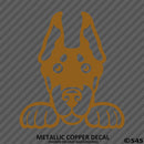 Peeking Doberman Pinscher Puppy Dog Vinyl Decal - S4S Designs