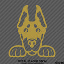 Peeking Doberman Pinscher Puppy Dog Vinyl Decal - S4S Designs