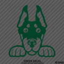 Peeking Doberman Pinscher Puppy Dog Vinyl Decal - S4S Designs
