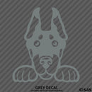 Peeking Doberman Pinscher Puppy Dog Vinyl Decal - S4S Designs