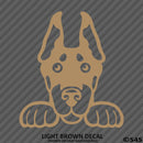 Peeking Doberman Pinscher Puppy Dog Vinyl Decal - S4S Designs