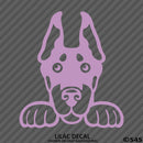 Peeking Doberman Pinscher Puppy Dog Vinyl Decal - S4S Designs