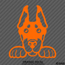 Peeking Doberman Pinscher Puppy Dog Vinyl Decal - S4S Designs