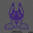 Peeking Doberman Pinscher Puppy Dog Vinyl Decal - S4S Designs