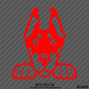 Peeking Doberman Pinscher Puppy Dog Vinyl Decal - S4S Designs