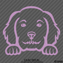 Peeking Golden Doodle Puppy Dog Vinyl Decal - S4S Designs