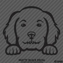 Peeking Golden Doodle Puppy Dog Vinyl Decal - S4S Designs