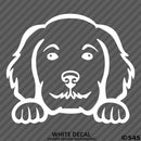 Peeking Golden Doodle Puppy Dog Vinyl Decal - S4S Designs