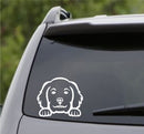 Peeking Golden Doodle Puppy Dog Vinyl Decal - S4S Designs