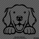 Peeking Golden Retriever Puppy Dog Vinyl Decal - S4S Designs