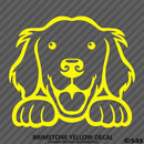 Peeking Golden Retriever Puppy Dog Vinyl Decal - S4S Designs