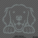 Peeking Golden Retriever Puppy Dog Vinyl Decal - S4S Designs