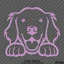 Peeking Golden Retriever Puppy Dog Vinyl Decal - S4S Designs