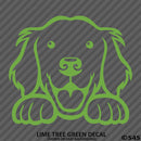 Peeking Golden Retriever Puppy Dog Vinyl Decal - S4S Designs