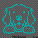 Peeking Golden Retriever Puppy Dog Vinyl Decal - S4S Designs