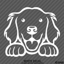 Peeking Golden Retriever Puppy Dog Vinyl Decal - S4S Designs